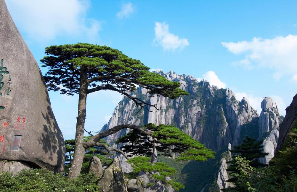 黃山風景.jpg